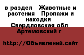  в раздел : Животные и растения » Пропажи и находки . Свердловская обл.,Артемовский г.